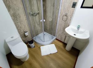 Kúpeľňa v ubytovaní Sky Osorno