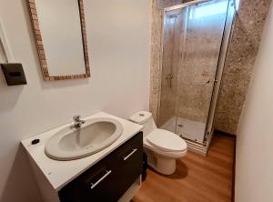 a bathroom with a sink and a toilet and a shower at Sky Osorno in Osorno