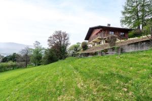 a house on top of a grassy hill at Chalet de Charme avec vue spendide in Menthon-Saint-Bernard