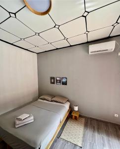 una camera da letto con un letto e uno specchio sul soffitto di Tokyo to Conakry *NONGO* a Conakry