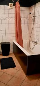 a bathroom with a shower and a tub with a shower curtain at Apartment Noorderloft in Hornhuizen