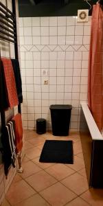 a bathroom with a black rug on a tiled floor at Apartment Noorderloft in Hornhuizen