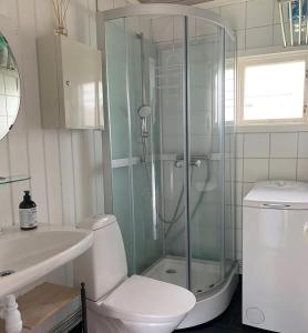 een badkamer met een douche, een toilet en een wastafel bij Tofta Beach house in Tofta