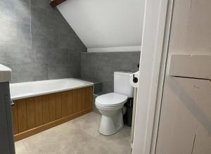 a bathroom with a toilet and a bath tub at Glyncoch Isaf Llangrannog in Llangranog