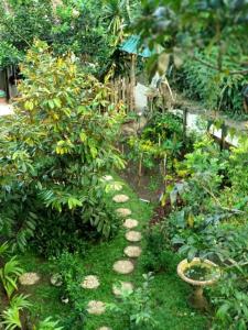 a garden with a stone path in the grass at Jungle Joglo in Tampaksiring
