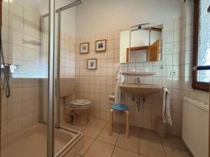 a bathroom with a sink and a toilet and a shower at J10 freistehendes Ferienhaus in Eckwarderhörne mit Terrasse eingefriedet durch Buchenhecke und Zaun in Butjadingen