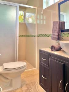 La salle de bains est pourvue de toilettes, d'un lavabo et d'une douche. dans l'établissement Casa Coccoloba, Chetumal, Quintana Roo, à Chetumal