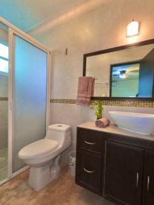La salle de bains est pourvue de toilettes, d'un lavabo et d'un miroir. dans l'établissement Casa Coccoloba, Chetumal, Quintana Roo, à Chetumal