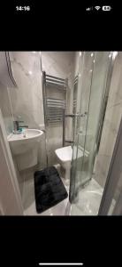 a bathroom with a shower and a sink and a toilet at London Eye 15 minutes away in London