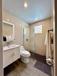 a bathroom with a toilet and a sink and a shower at C&C Studio in San Juan