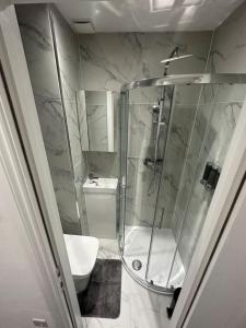 a bathroom with a shower and a toilet at London Victoria Green Park 15min in London