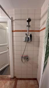 a shower in a bathroom with a tile wall at Studio O1 - Carolinas apartments in Copenhagen