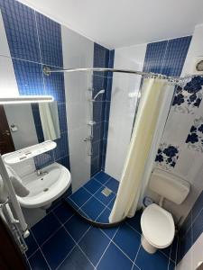 La salle de bains bleue et blanche est pourvue de toilettes et d'une douche. dans l'établissement Pensiunea Lebada, à Tulcea