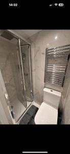 a bathroom with a shower and a toilet in it at Big Ben 15 minutes away in London