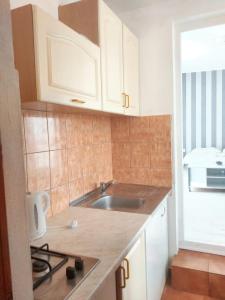 una cocina con armarios blancos y fregadero en One bedroom apartement with balcony and wifi at Vir, en Vir