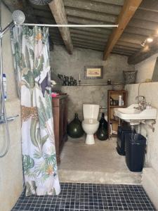 a bathroom with a toilet and a shower curtain at Chambre campagnarde in Roquestéron