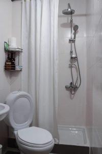 y baño con cortina de ducha blanca y aseo. en Lucato apartment, en Florina