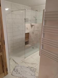 La salle de bains est pourvue d'une douche avec une porte en verre. dans l'établissement BASTIDE DES MARTELIERES, à Salon-de-Provence