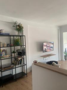 un salon avec une étagère et des plantes dans l'établissement Apartamento 2 habitaciones, à Torre del Mar
