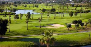 an aerial view of a golf course with palm trees at Apartamentos Herdade dos Salgados - Vila das Lagoas in Albufeira