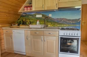 una cocina con fregadero y un mural de montaña en la pared en Apartments Štros, en Bohinj