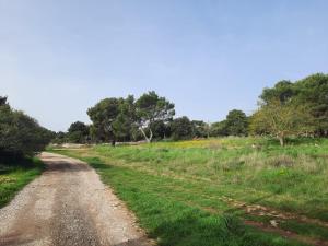 Paesaggio naturale nelle vicinanze dell'appartamento