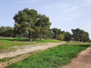 Paesaggio naturale nelle vicinanze dell'appartamento