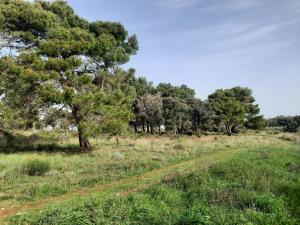 Paesaggio naturale nelle vicinanze dell'appartamento