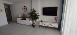 a living room with a plant and a tv on the wall at Apartamento Domara Vera in Vera