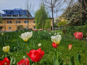 Vonkajšia záhrada v ubytovaní Yellow Flat by GrazRentals with best location & free parking