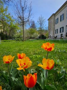 Vonkajšia záhrada v ubytovaní Yellow Flat by GrazRentals with best location & free parking