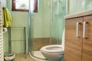 een badkamer met een toilet en een glazen douche bij Apartments Štros in Bohinj