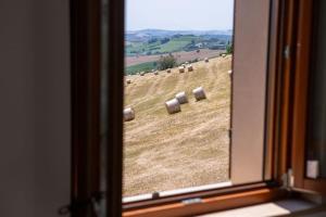 Afbeelding uit fotogalerij van Sweet Home Offida in Offida