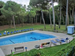 a large swimming pool with blue chairs and trees at Plaza in Eraclea Mare