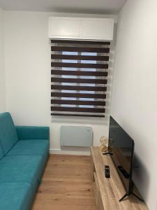 ein Wohnzimmer mit einem blauen Sofa und einem TV in der Unterkunft VINOS DE OURENSE in Ourense