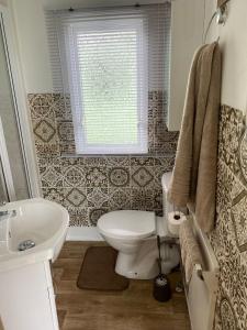 Inglenook Caravan في Lamplugh: حمام مع مرحاض ومغسلة ونافذة
