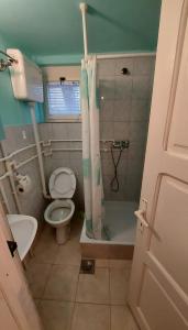 a small bathroom with a toilet and a shower at Domaćinstvo Jolović in Kraljevo