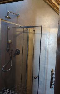 a shower with a glass door in a bathroom at Magical Mongoose in Jacobs Bay