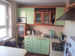 Lovely apartment in Riga city في ريغا: مطبخ مع دواليب خضراء ومغسلة