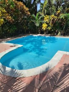 a large blue swimming pool in a yard at Beautiful House in front of the beach at Masca, Omoa in Omoa