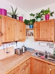 a kitchen with wooden cabinets and potted plants at Best Time In Graz in Graz