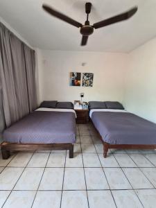 two beds in a room with a ceiling fan at Hotel del Callejón in Zihuatanejo