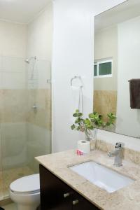 La salle de bains est pourvue d'un lavabo, de toilettes et d'une douche. dans l'établissement Luxury Coral Dream, à Playa del Carmen