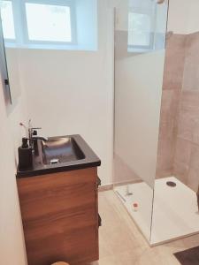 een badkamer met een wastafel en een douche bij Au rue du gaz YourHostHelper in Rodez