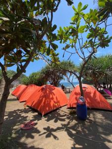 una fila de sombrillas naranjas sentadas en la playa en Madasari Outdoor Camping Standar en Bulakbenda