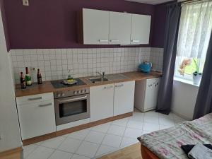 a kitchen with white cabinets and a sink at 2 Raum Zwickau Privat in Zwickau