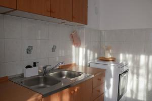 a kitchen with a sink and a dishwasher at Kuća za odmor Franca in Ozalj +18 photos