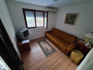 een woonkamer met een bank en een tv bij Vila Lekic - Srebrno jezero in Veliko Gradište