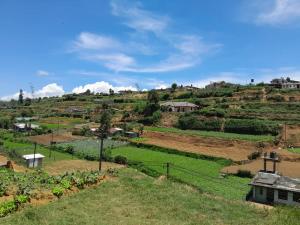una vista de una granja con una colina en el fondo en Harrisline Holiday Homes, en Nuwara Eliya