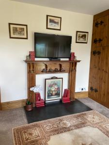 a living room with a fireplace with a flat screen tv at Grandma's Honeycomb Cottage - a quiet, charming, cosy retreat in the countryside only 2 miles from one of Cornwall's best beaches in Truro